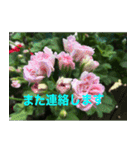 綺麗な花たち（個別スタンプ：30）