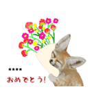 ほほえみフレンズ！キツネの日常カスタム（個別スタンプ：7）