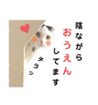 白黒ネコの日常 パート7（個別スタンプ：4）