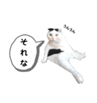 白黒ネコの日常 パート7（個別スタンプ：18）