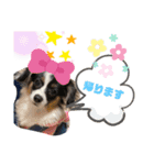 まろ×ちろ（個別スタンプ：4）