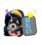 まろ×ちろ（個別スタンプ：6）
