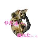 はなちゃんとぶたさん⑦（個別スタンプ：1）
