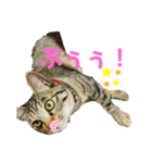はなちゃんとぶたさん⑦（個別スタンプ：8）