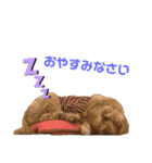 ぼくはモカ（個別スタンプ：3）