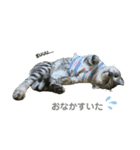 凛ちゃんです(♂)（個別スタンプ：2）