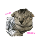 凛ちゃんです(♂)（個別スタンプ：3）
