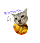 凛ちゃんです(♂)（個別スタンプ：4）
