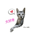 凛ちゃんです(♂)（個別スタンプ：7）
