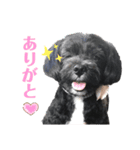 あ〜るちゃん（個別スタンプ：7）