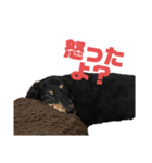 らむ＆はな（個別スタンプ：7）