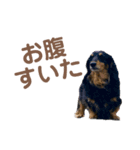 らむ＆はな（個別スタンプ：8）