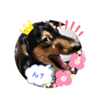 さっちゃん＆アーリー4（個別スタンプ：5）