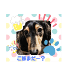 さっちゃん＆アーリー4（個別スタンプ：8）