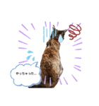 さっちゃん＆アーリー4（個別スタンプ：13）