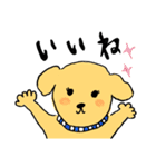 犬 スタンプ（個別スタンプ：12）