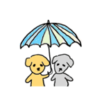 犬 スタンプ（個別スタンプ：40）