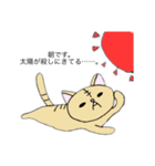 やる気にゃん太郎（個別スタンプ：2）
