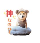豆柴にこちゃん3☆犬友・お友達用（個別スタンプ：16）