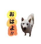 りく君うみ君（個別スタンプ：1）