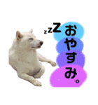 りく君うみ君（個別スタンプ：2）