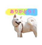 りく君うみ君（個別スタンプ：4）