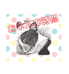 デイジー2（個別スタンプ：9）