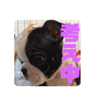 デイジー2（個別スタンプ：14）
