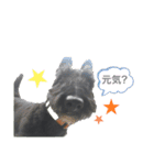 Jくんスタンプ（個別スタンプ：2）
