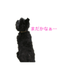 Jくんスタンプ（個別スタンプ：4）