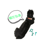 Jくんスタンプ（個別スタンプ：10）