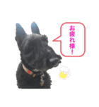 Jくんスタンプ（個別スタンプ：14）