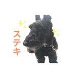Jくんスタンプ（個別スタンプ：15）