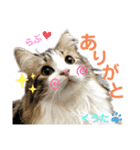 みうとくうた のほほんスタンプ（個別スタンプ：1）