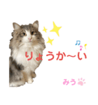 みうとくうた のほほんスタンプ（個別スタンプ：2）