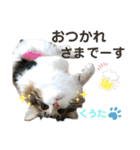 みうとくうた のほほんスタンプ（個別スタンプ：3）