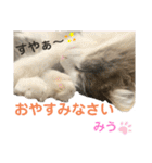 みうとくうた のほほんスタンプ（個別スタンプ：4）