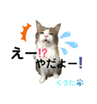 みうとくうた のほほんスタンプ（個別スタンプ：6）