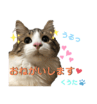 みうとくうた のほほんスタンプ（個別スタンプ：7）