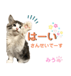 みうとくうた のほほんスタンプ（個別スタンプ：9）