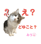 みうとくうた のほほんスタンプ（個別スタンプ：10）