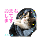 みうとくうた のほほんスタンプ（個別スタンプ：15）