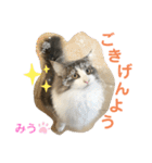 みうとくうた のほほんスタンプ（個別スタンプ：18）