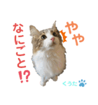 みうとくうた のほほんスタンプ（個別スタンプ：22）