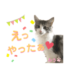 みうとくうた のほほんスタンプ（個別スタンプ：25）