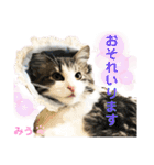 みうとくうた のほほんスタンプ（個別スタンプ：26）