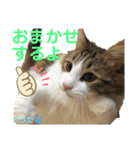 みうとくうた のほほんスタンプ（個別スタンプ：28）