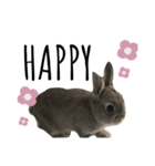 うさぎのぶーちゃんです♡（個別スタンプ：4）