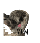 うさぎのぶーちゃんです♡（個別スタンプ：9）