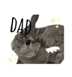 うさぎのぶーちゃんです♡（個別スタンプ：14）